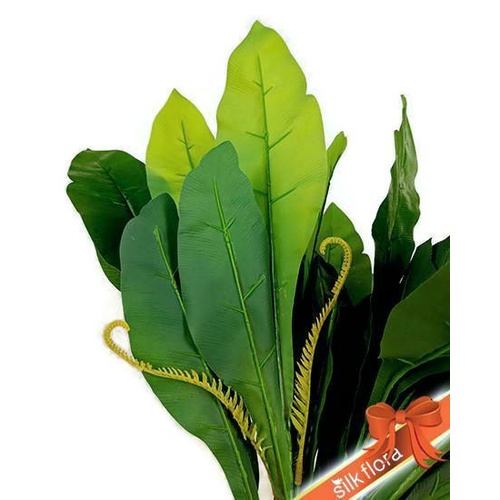 BIRD NEST FERN 36LVS S8818GRN