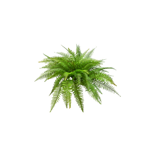 50CM FERN W/54LVS S8969GRN