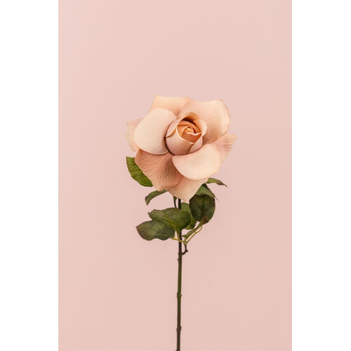 Ecuadorian Rose S913-FPNK