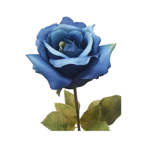 Ecuadorian Rose S913-NVY