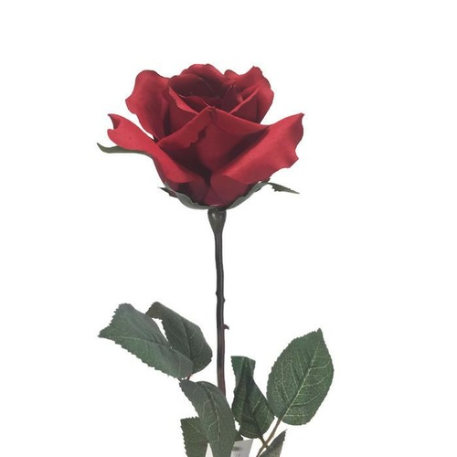 Ecuadorian Rose S913-RD