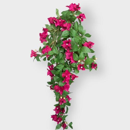 Bougainvillea Hanging Bush S91301FUCH