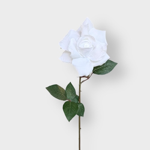 Ecuadorian Rose S913-PWHT