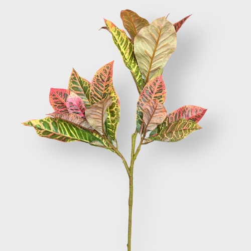 Croton Leaf S918915
