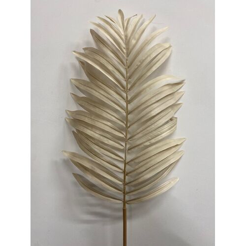 Data palm leaf S9718IV