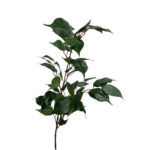 Banyan Leaf Spray S9800grn