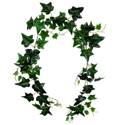 Ivy Garland S9811UV