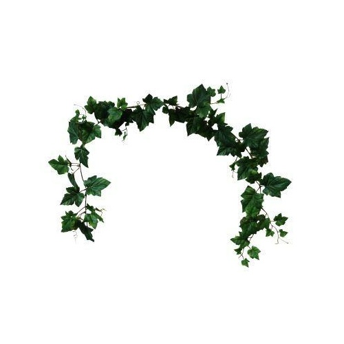 Ivy  garland S9852