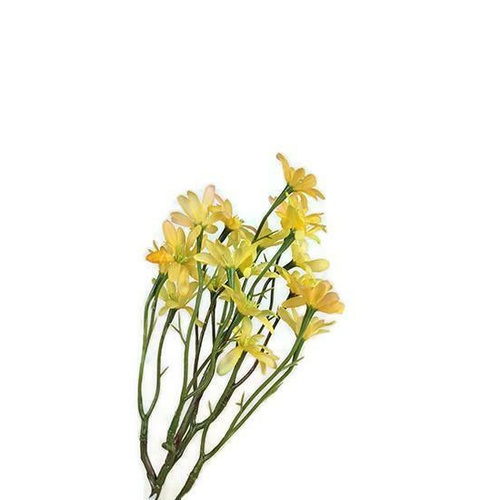 Sea Aster S9862-YEL