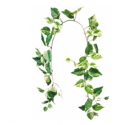 Pothos Garland S9867-GRN