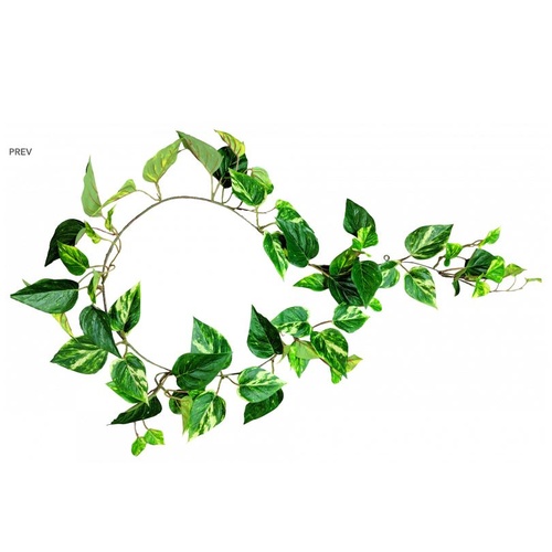 Pothos Garland S9867UVGRN