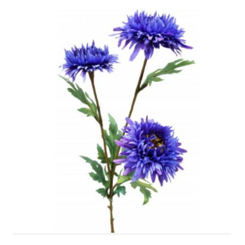 Aster Spray S9878DkPur