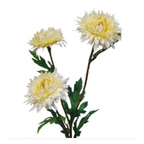 Aster Spray S9878WH