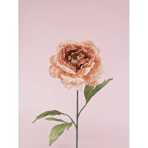 Faux Dried Peony S9885PCH