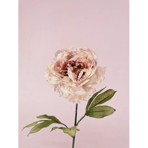 Faux Dried Peony S9885CP