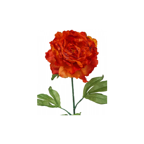 Faux Dried Peony S9885ORG