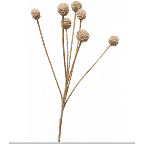 Faux Dried Billy Button S9896 iv