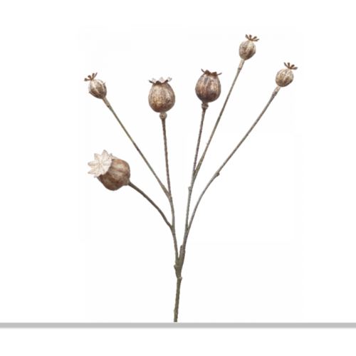 Poppy Pod Spray S9897WHT
