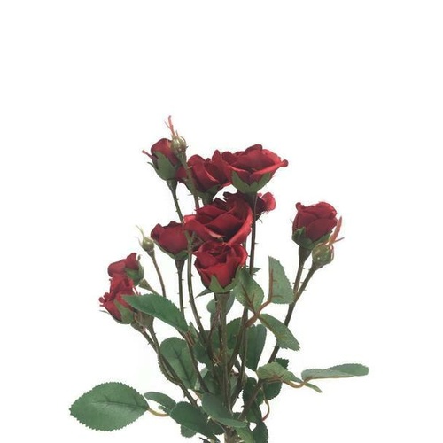 Mini Rose Spray S9939-RD