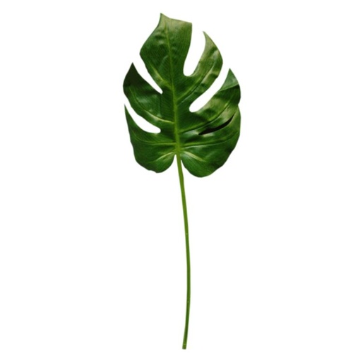 Med. Monstera leaf S9984