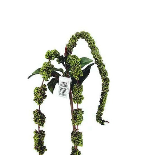 Amaranthus Spray S9991-GR