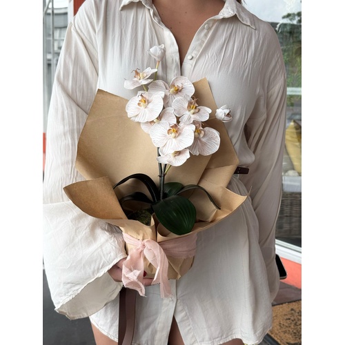 Elsie Arrangement