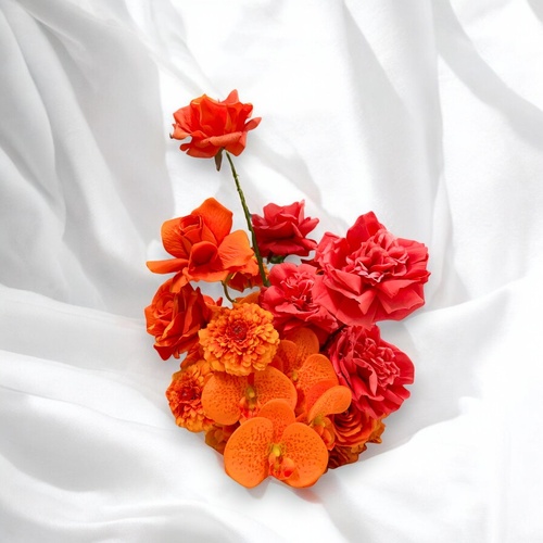 Aperol Cloud SF12587
