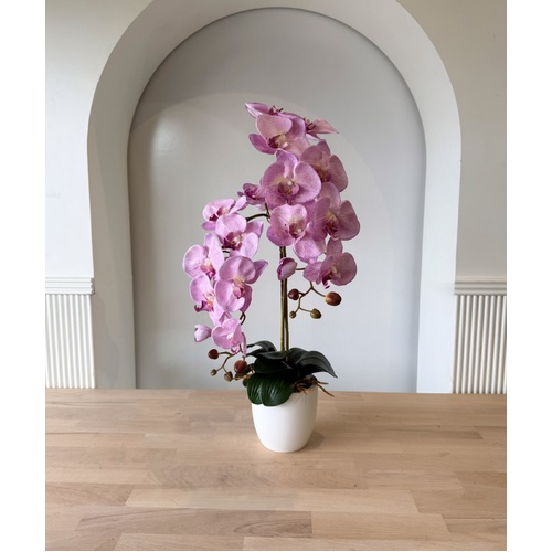 Oriental Beauty SF176-LIL