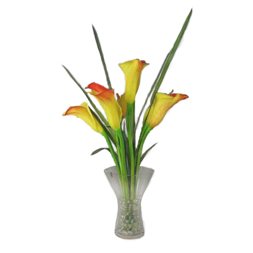 Bright Calla SF185