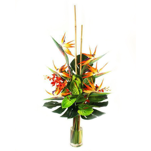 Tropical Treasure SF340