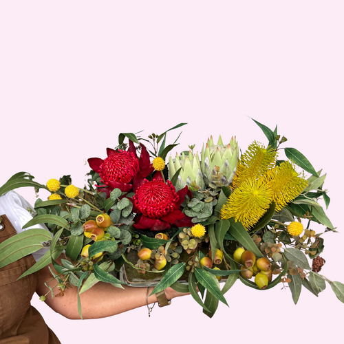 Wild Waratah SF453
