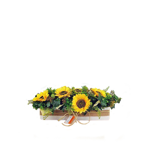 Sweet sunflower SF462