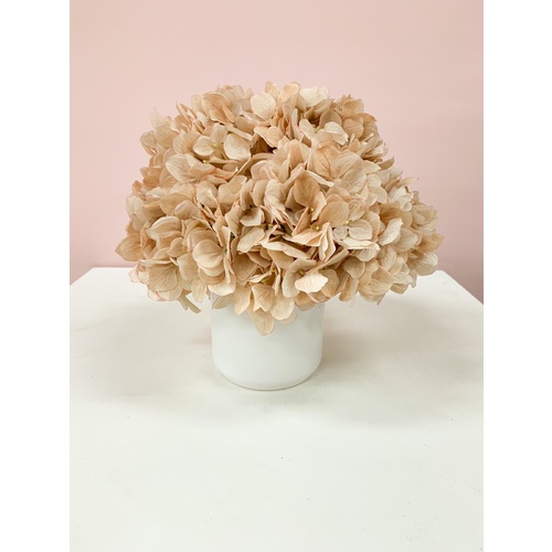 Blush and Cream SF702