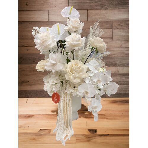 Sweet Frida WHITE SF832