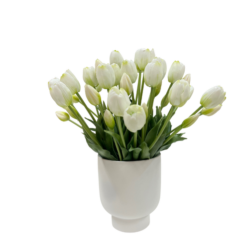 Pretty Tulip SF961-WH