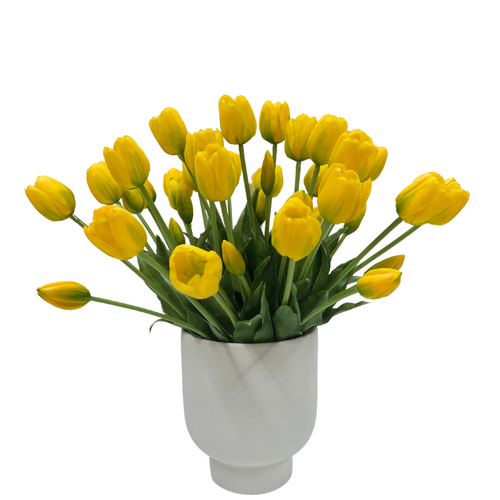 Pretty Tulip SF961-YE