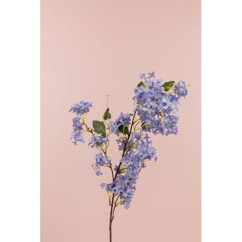 Jacaranda Spray SG01