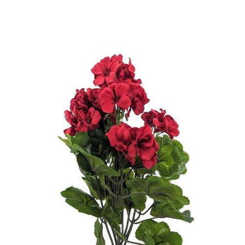 Red Geranium Bush SH001