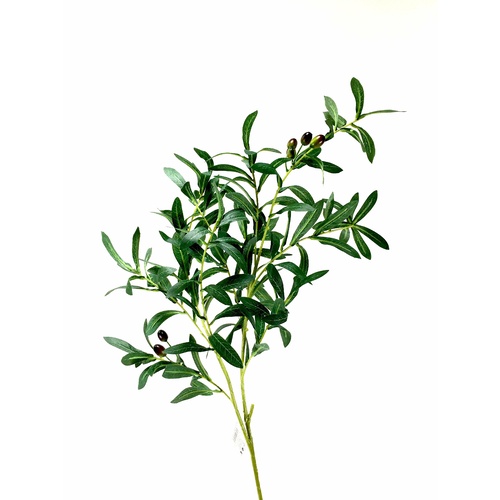 Olive Spray SM014-GREEN