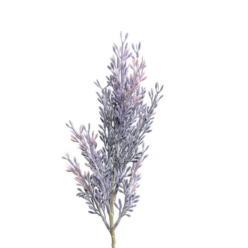 Lavender spray SM017-PURPLE
