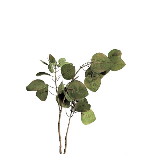 Greenery Spray SM028-GREEN