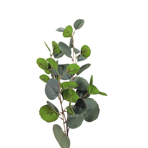 France Eucalyptus Spray SM034-GREEN
