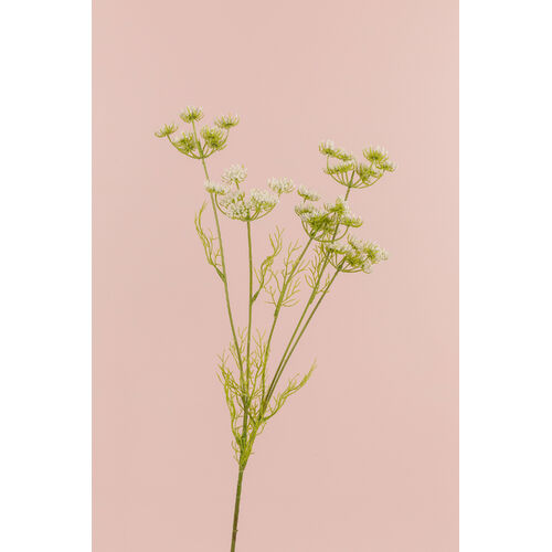 Queen Ann Lace Spray SM039-WHITE
