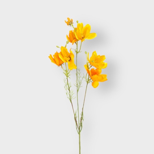 Cosmos Spray SM040-OR