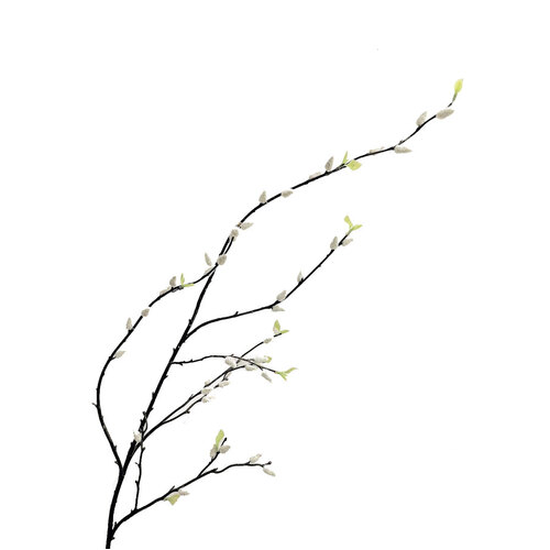 Pussy Willow Branch SM043-WHITE