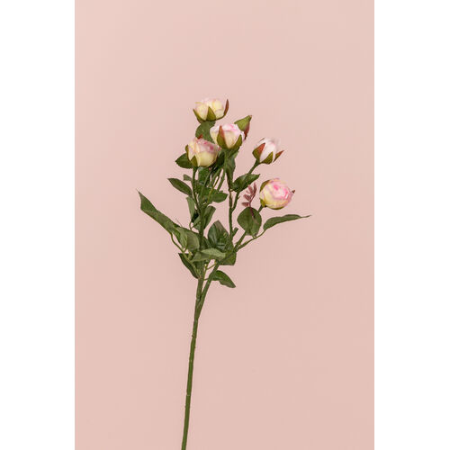 Tight Peony Bud spray SM048-LPNK
