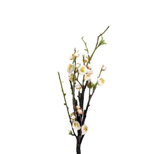 Short Plum Blossom SM050-WH