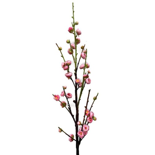 Plum Blossom SM051-PNK