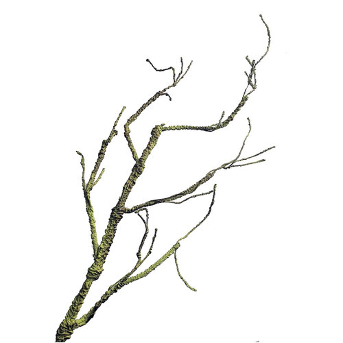 Twig Branch SM053-GREEN