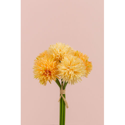 Chrysanthemum bunch SM055-CHM